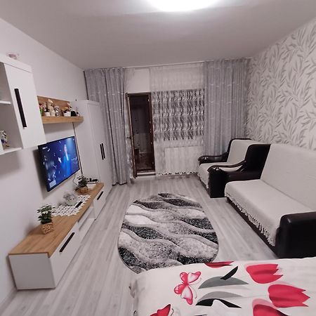 Garsoniera George Apartment Tirgu Ocna Exterior photo