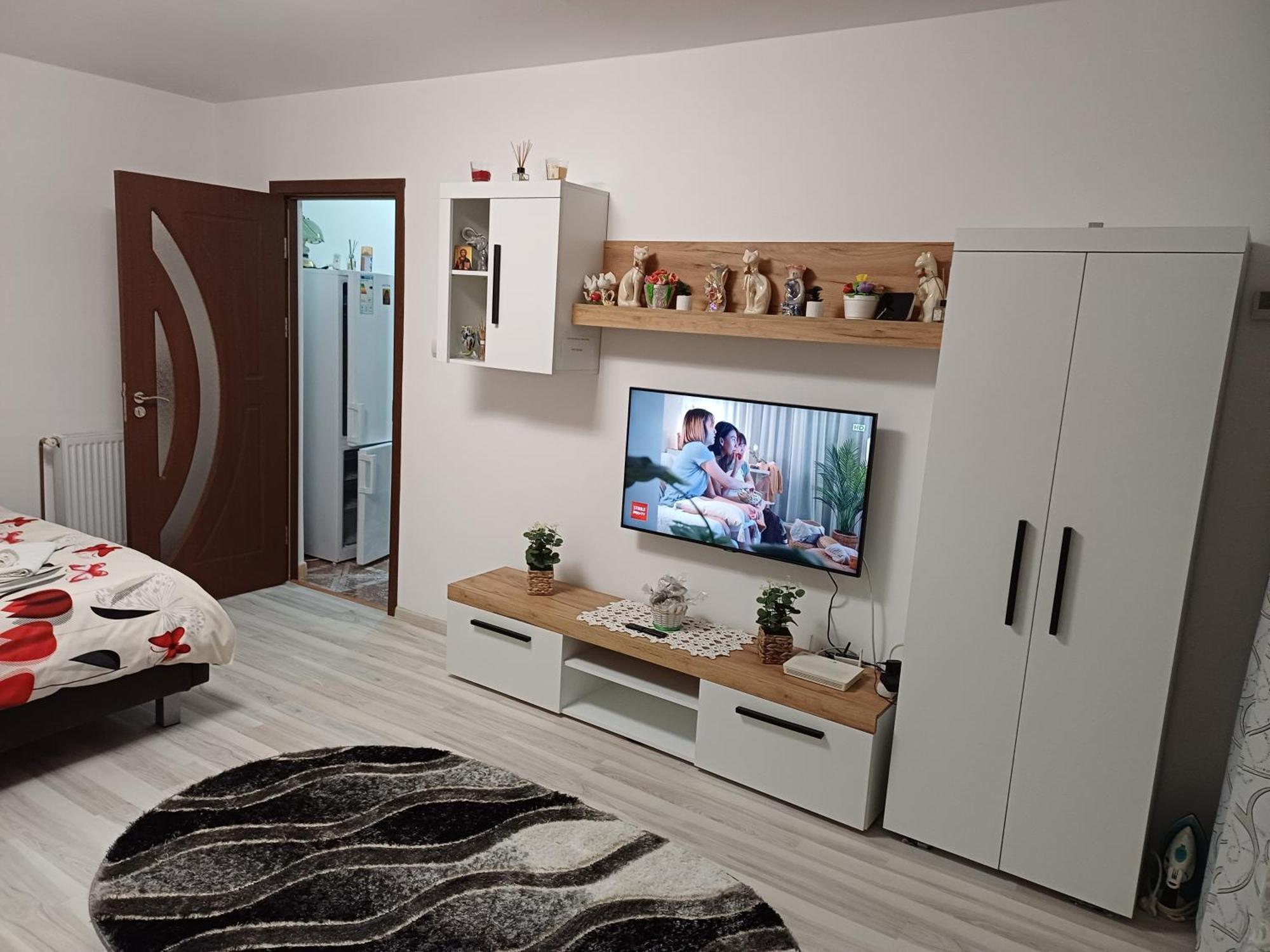 Garsoniera George Apartment Tirgu Ocna Exterior photo