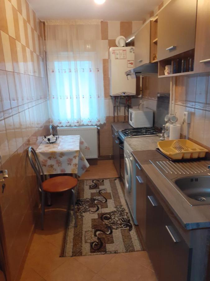 Garsoniera George Apartment Tirgu Ocna Exterior photo