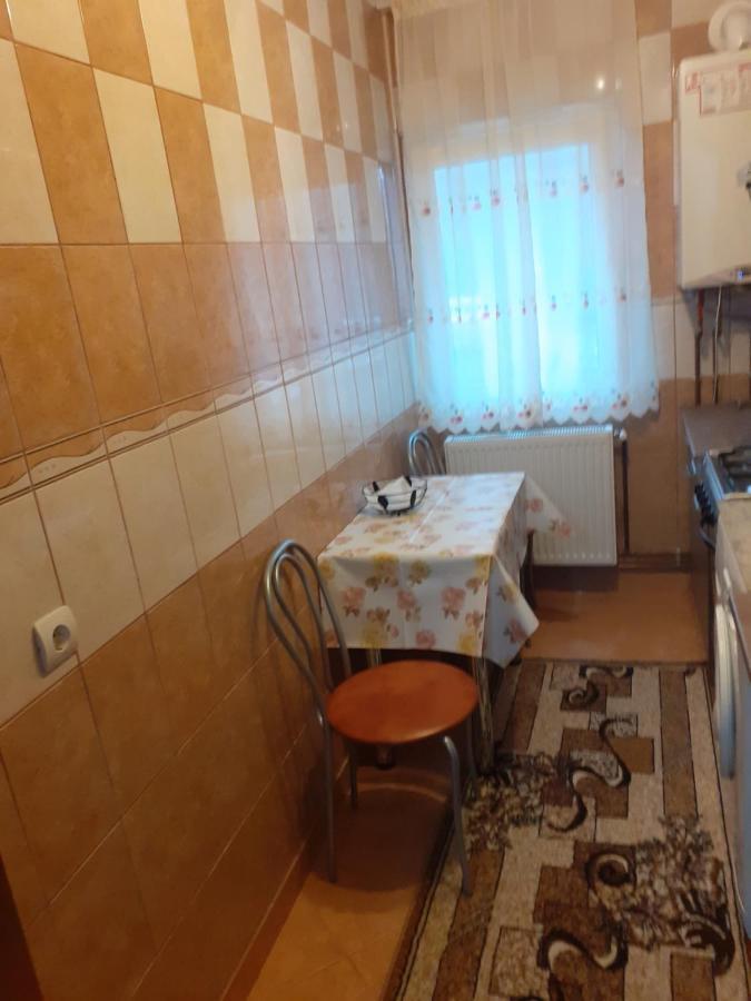 Garsoniera George Apartment Tirgu Ocna Exterior photo